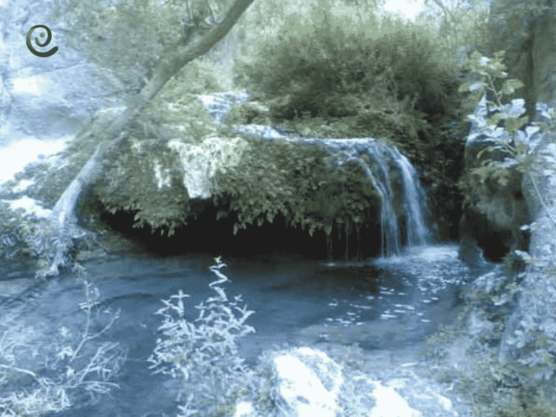 چشمه شور از دیگر چشمه های تهران است که در جنوب استان تهران واقع شده است